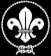 World Scout Movement